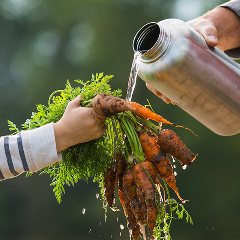 64oz-wide-with-loop-cap-w5 64oz_wide_mouth_bottle_carrots_rinse_square.jpg