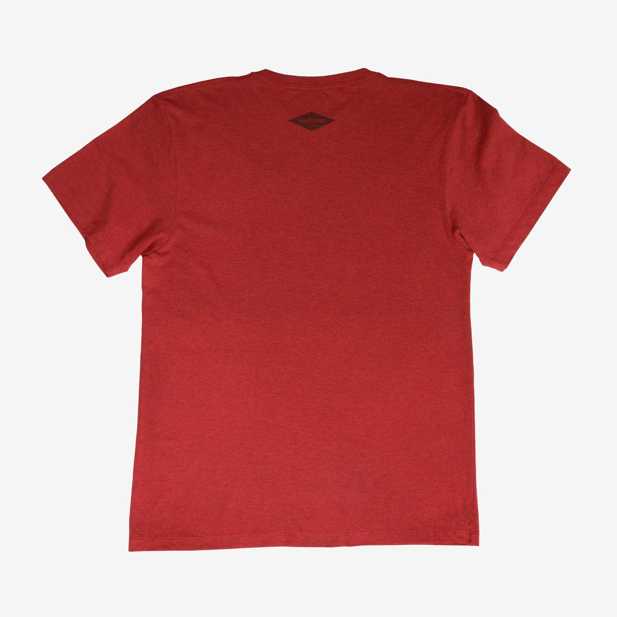 backyard-t-shirt-r6 Shirt_Mtn_Back.jpg
